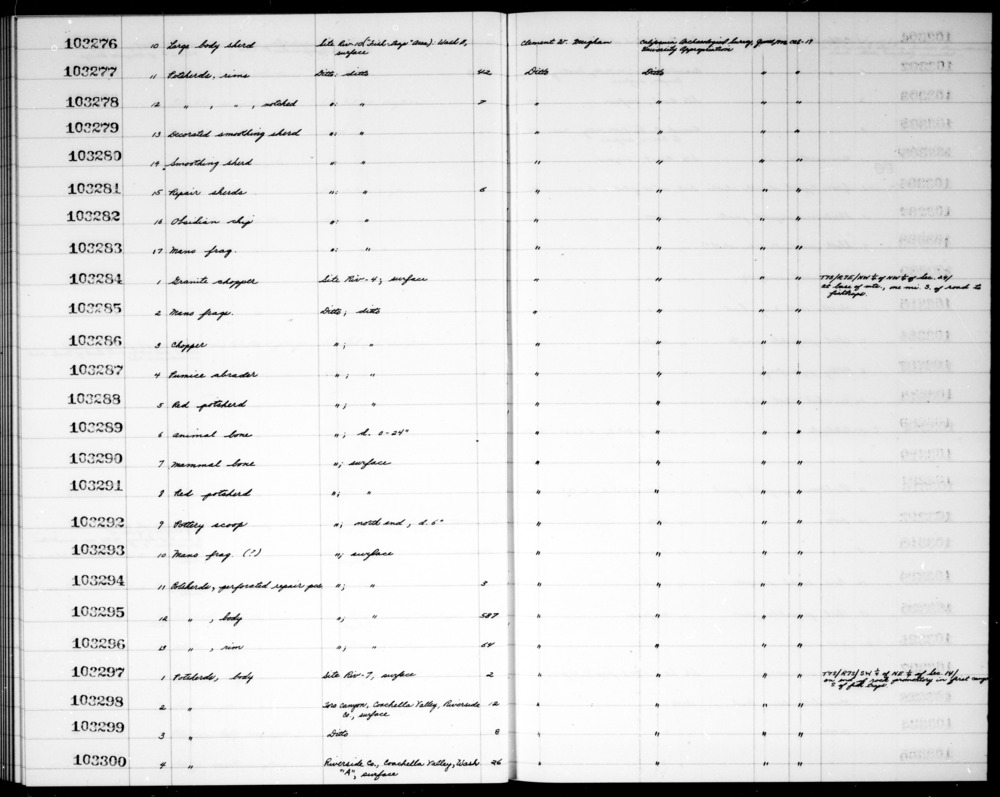 Documentation associated with Hearst Museum object titled Faunal remains, accession number 1-103289, described as Animal.