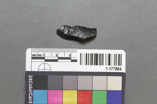 Hearst Museum object titled Projectile point, accession number 1-177884, described as Obsidian.