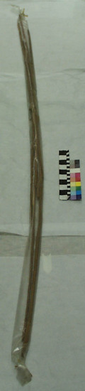 Hearst Museum object titled Arrow, accession number 1-3920, described as Long arrow, simple stick.