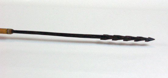 Hearst Museum object titled Arrow, accession number 16-7581, described as Chonta-palm wood tripped arrow with black feathers