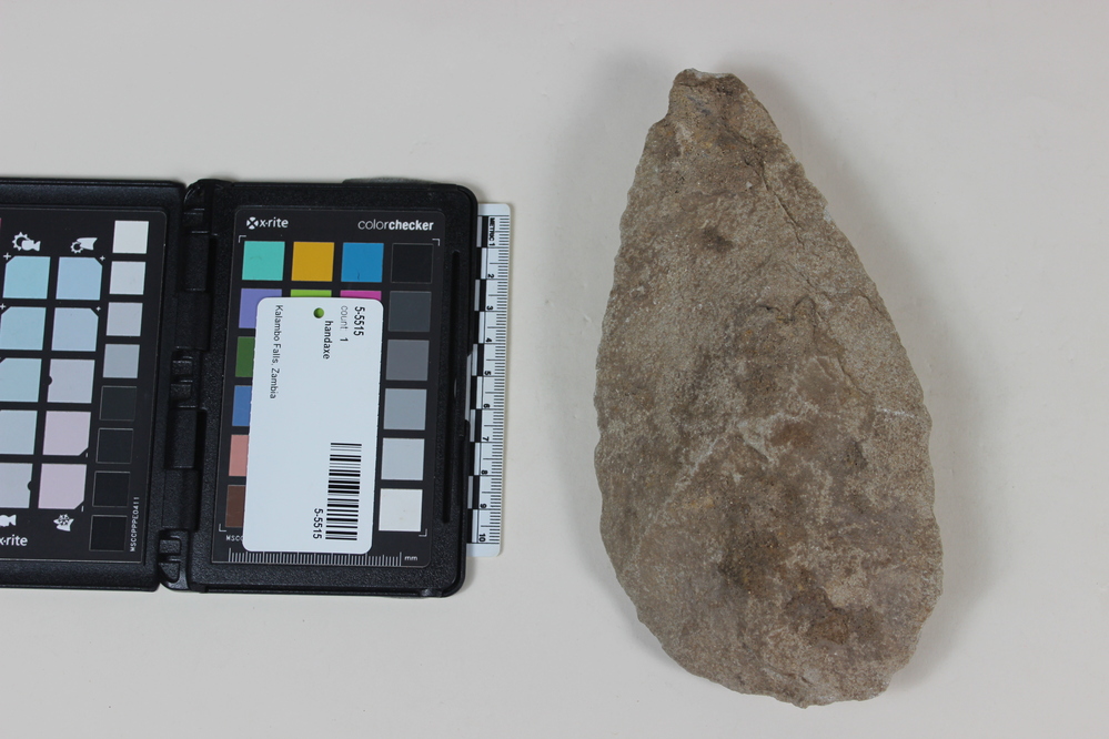 Hearst Museum object titled Handaxe, accession number 5-5515, described as Quartzite hand axe; L. 19.5 cm