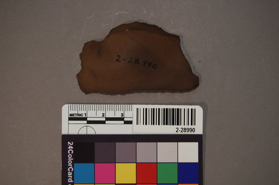 Hearst Museum object titled Scraper, accession number 2-28990, described as Chert scraper