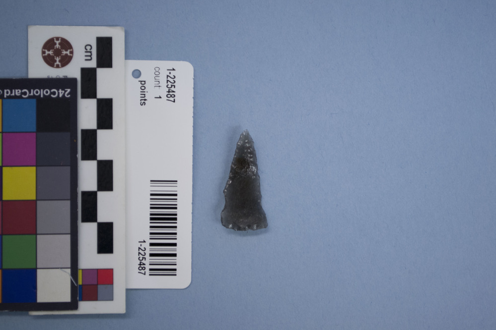 Hearst Museum object titled Points, accession number 1-225487, described as Obsidian, projectile points.