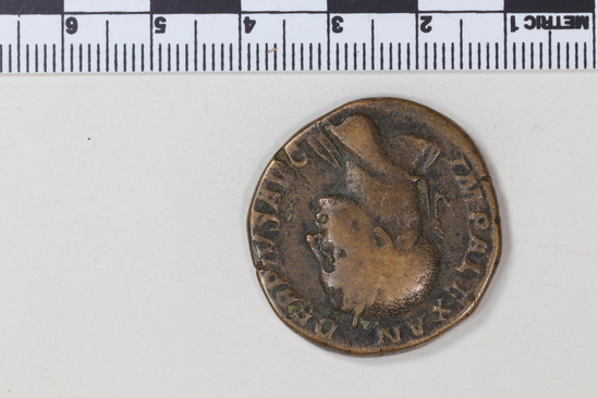 Hearst Museum object 4 of 4 titled Coin: æ sestertius, accession number 8-6211, described as Coin: Sestertius; Æ; Alex. Severus - 17.26 grms. Obverse: IMP ALEXANDER PIVS AVG - Bust facing right, laureate, draped. Reverse: PM TRPX I COSII PP, SC - Sol standing front, head facing left, raising right hand and holding whip.