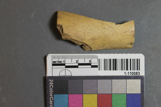 Bone tube fragment