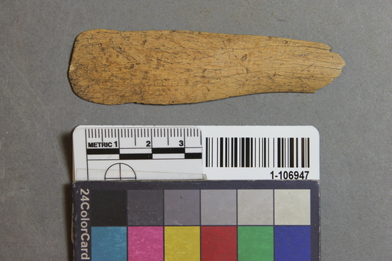 Hearst Museum object titled Worked bone, accession number 1-106947, described as Spatulate bone tool.