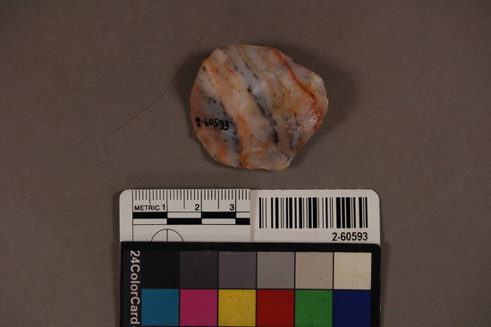 Hearst Museum object titled Scraper, accession number 2-60593, described as Biface scraper made from chert