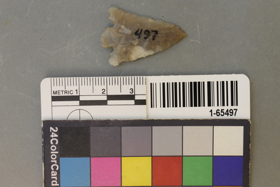 Hearst Museum object titled Point, accession number 1-65497, described as Type SBb-1; chert