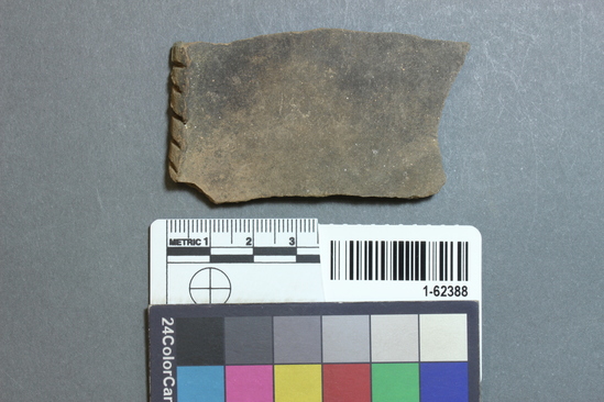 Hearst Museum object titled Potsherd, accession number 1-62388, described as Rim, plain (perforated).