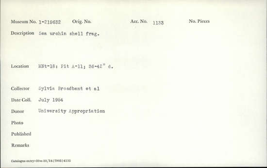 Documentation associated with Hearst Museum object titled Shell fragment, accession number 1-219632, described as Sea urchin shell fragment.