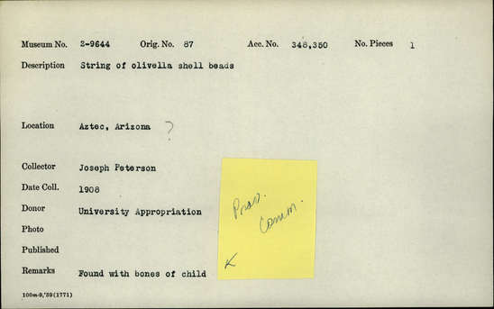 Documentation associated with Hearst Museum object titled Beads, accession number 2-9644, described as String of olivella shell beads. Notice: Image restricted due to its potentially sensitive nature. Contact Museum to request access.