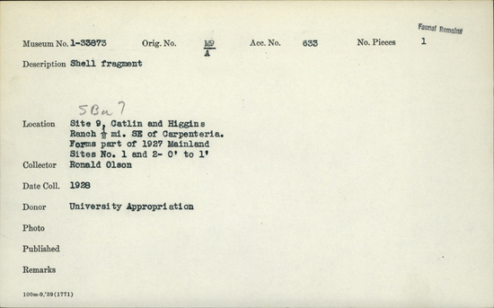 Documentation associated with Hearst Museum object titled Shell fragment, accession number 1-33873, described as Shell fragment