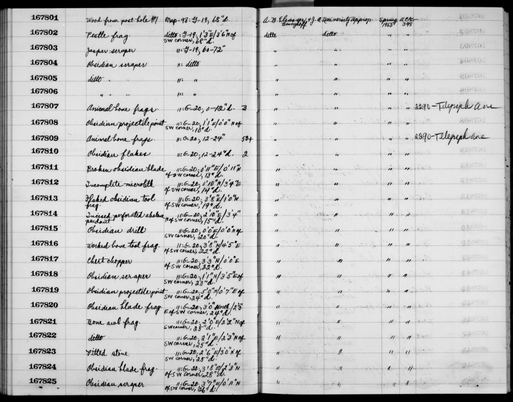 Documentation associated with Hearst Museum object titled Metatarsal frag, l, accession number 1-167809.10, no description available.