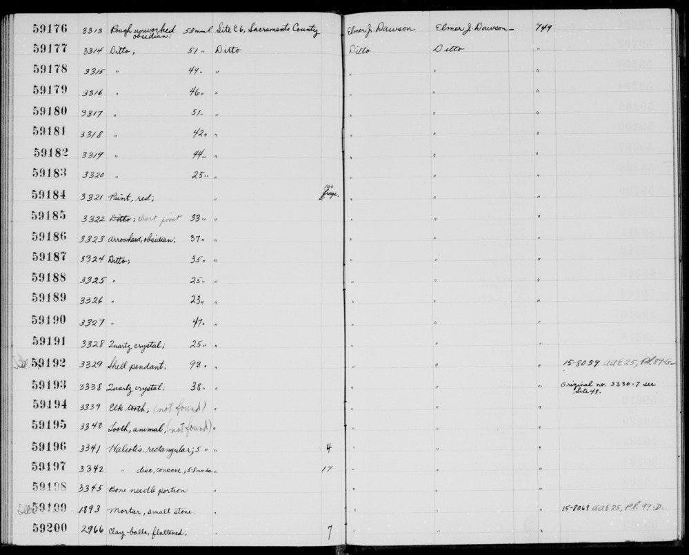 Documentation associated with Hearst Museum object titled Tooth, accession number 1-59195, described as Animal