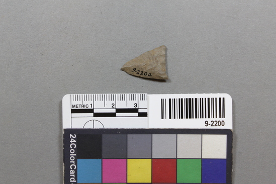 Hearst Museum object titled Point, accession number 9-2200, described as Chipped stone point.