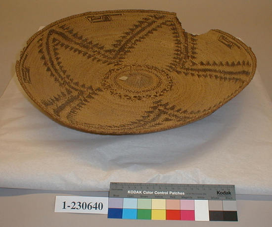 Hearst Museum object titled Basket, accession number 1-230640, described as Plain-twined, basin shape, very flexible because of tule or cattail leaf cordage warp. 4-lobed design scheme in black on ground of beargreass overlay. Jute twine around start. Two places on rim chewed out by rats.  Warp and weft of tule or cattail leaf, overlay in Xerophyllum tenax and a black material.