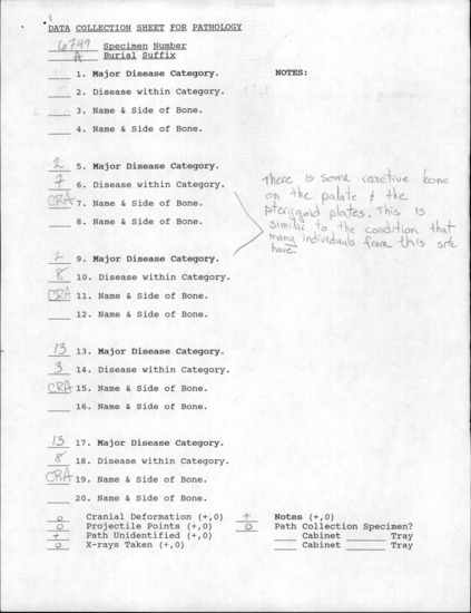 Documentation associated with Hearst Museum object titled Recataloged to 12-6747, accession number 12-6749A, described as Skull Male, Age: 35