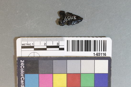 Hearst Museum object titled Point, accession number 1-65116, described as Obsidian. Type NBa-2.