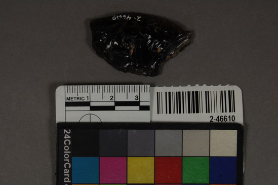 Hearst Museum object titled Projectile point, accession number 2-46610, described as No description given on catalog card.