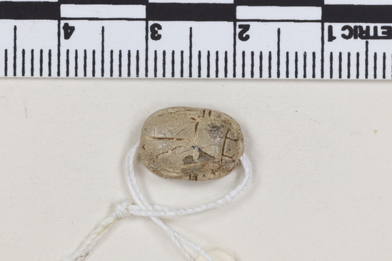 Hearst Museum object titled Scarab seal, accession number 5-7491, described as Seal. Scarab. Stone with greyish- tan glaze. All scarab parts carved. Reverse- Thothmes III cartouche to left of hieroglyph. Length 1.18 cm. Width 8.5 mm. Height 5.2 mm. Name of mn-hpr-r’ once in cartouche and once to side without cartouche, with dsrt crown.