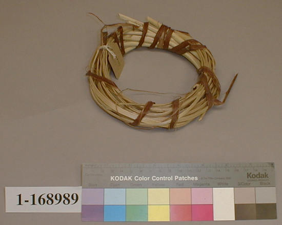 Hearst Museum object titled Basketry weft, accession number 1-168989, described as Roll of maple withe split and ready for storage.