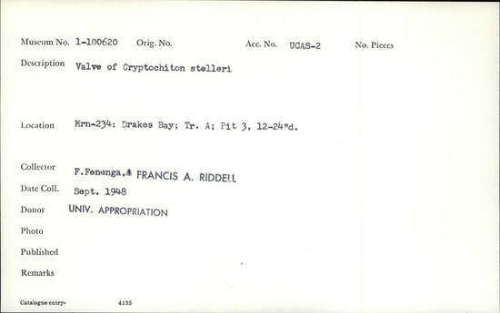 Documentation associated with Hearst Museum object titled Shell fragment, accession number 1-100620, described as Valve of Cryptochiton stelleri.