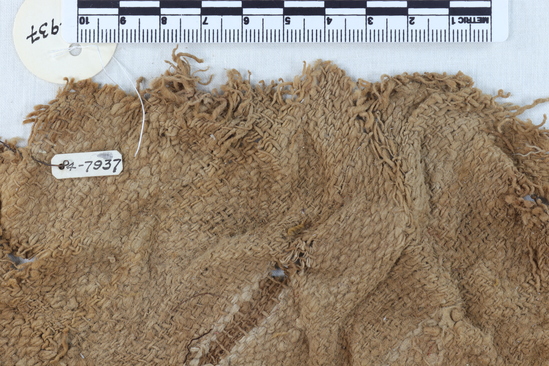 Hearst Museum object titled Cloth fragment: wig, accession number 4-7937, no description available.