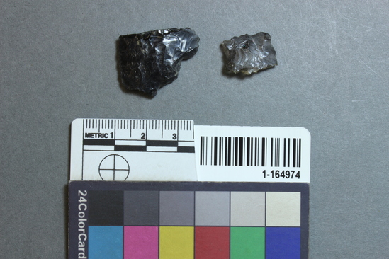 Hearst Museum object titled Projectile point fragments, accession number 1-164974, described as Obsidian midsections.