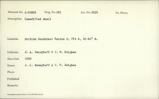 Documentation associated with Hearst Museum object titled Shell, accession number 3-20323, described as Unmodified shell