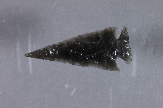 Hearst Museum object 2 of 3 titled Projectile point, accession number 1-19506, described as Obsidian arrow point
