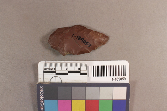Hearst Museum object titled Projectile point, accession number 1-189059, described as chert projectile point; unnotched and unstemmed; convex base; l. 5.0cm