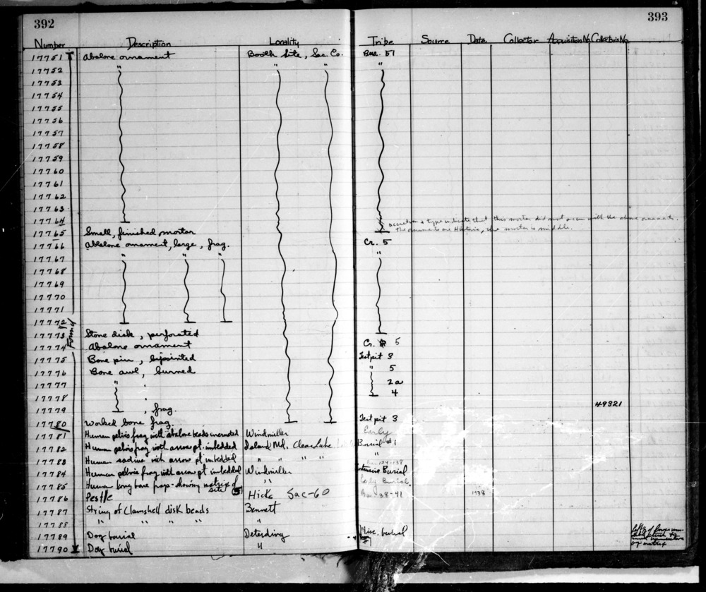 Documentation associated with Hearst Museum object titled Beads, accession number L-17787, described as String of clamshell disk beads.