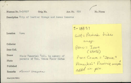 Documentation associated with Hearst Museum object titled Whip, accession number 2-18837, described as Whip of leather thongs and human humerus.