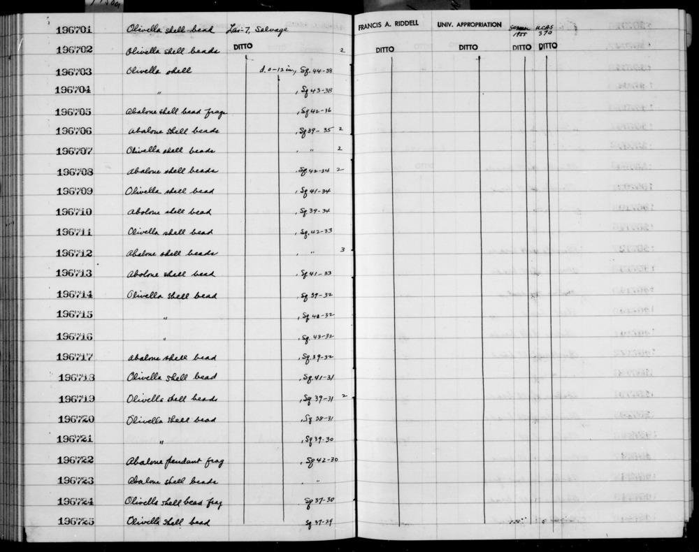 Documentation associated with Hearst Museum object titled Bead, accession number 1-196709, described as Olivella shell.