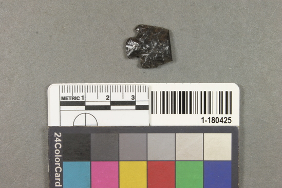 Hearst Museum object titled Point, accession number 1-180425, described as Projectile, obsidian, fragment