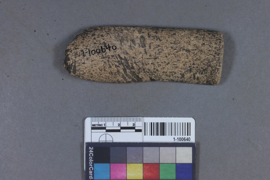 Hearst Museum object titled Wedge fragment, accession number 1-100640, described as Cut rib ?  End gnawed by mammal.