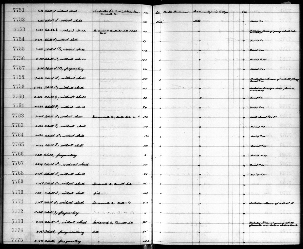 Documentation associated with Hearst Museum object titled Sample, accession number 12-7765.3, described as pulverized bone sample, burial 29