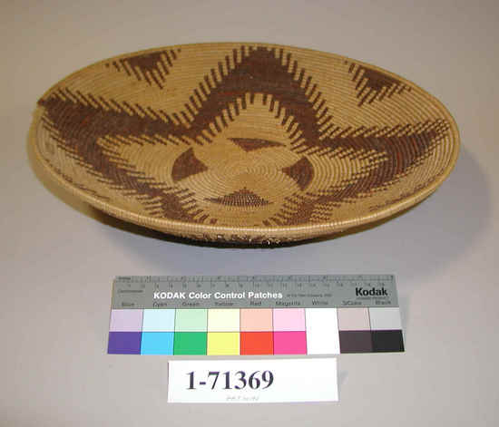 Hearst Museum object 2 of 4 titled Winnowing tray, accession number 1-71369, described as Coiled basket, deep tray.  Tag "Maidu att.".  Tag on baskets "D-62". Per Ralph Shanks:  Coiled basket winnowing tray.  Tight spiral, pinhole start.  The basket has a three rod foundation, probably willow.  The weft materials are peeled and unpeeled redbud.  The design at the base is a four sided star/flower.  On the sides is one horizontal band of zigzags, forming a four pointed star/flower.   The workface is on the inside, with many split stitches on the backface.  The weft fag ends are concealed and the work direction is to the left.  The basket has a plain wrapped rim with a blunt coil ending.  This is basket is attributed to the Patwin due to the shape and depth of the basket and the peeled redbud background.