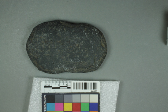 Hearst Museum object titled Sinker or hammerstone, accession number 1-66175, described as Flat slate cobble, with notched sides.