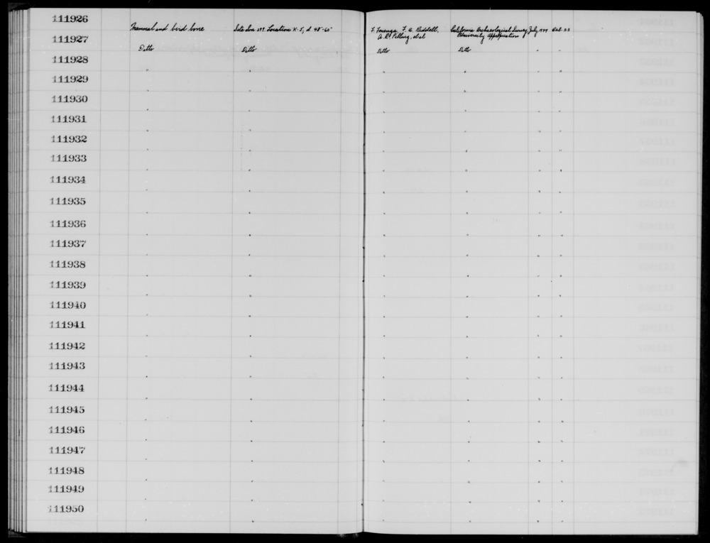 Documentation associated with Hearst Museum object titled Faunal remains, accession number 1-111939, described as Mammal and bird.