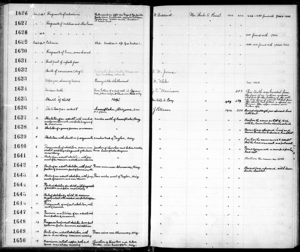 Documentation associated with Hearst Museum object titled Human remains, accession number 12-1650, described as Cranium, intact, upper teeth and lower maxillary missing Notice: Image restricted due to its potentially sensitive nature. Contact Museum to request access.