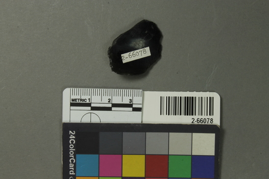 Hearst Museum object titled Flake, accession number 2-66078, described as Obsidian sample