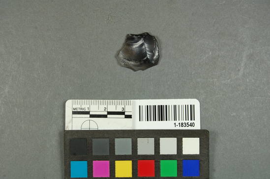 Hearst Museum object titled Scraper, accession number 1-183540, described as Obsidian flake knife scraper.