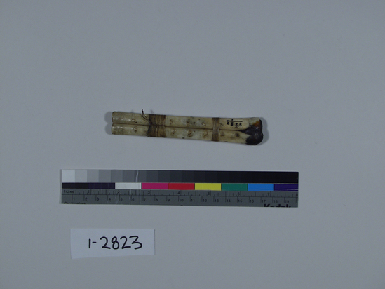 Hearst Museum object 1 of 2 titled Whistle, accession number 1-2823, described as Bird bone, double. Two bones, each with single finger hole near center, lashed together with sinew. Distal ends capped with pitch.