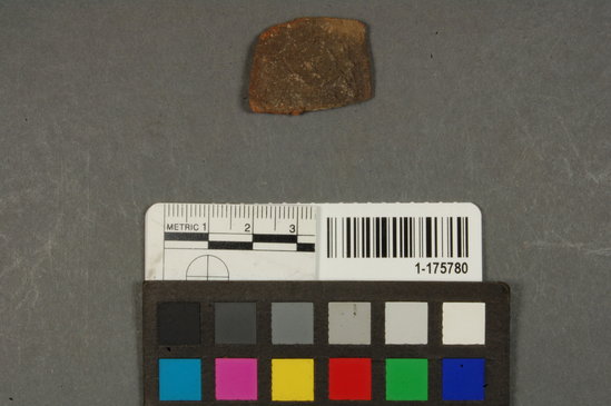 Hearst Museum object titled Potsherd, accession number 1-175780, described as Pottery rim sherd.