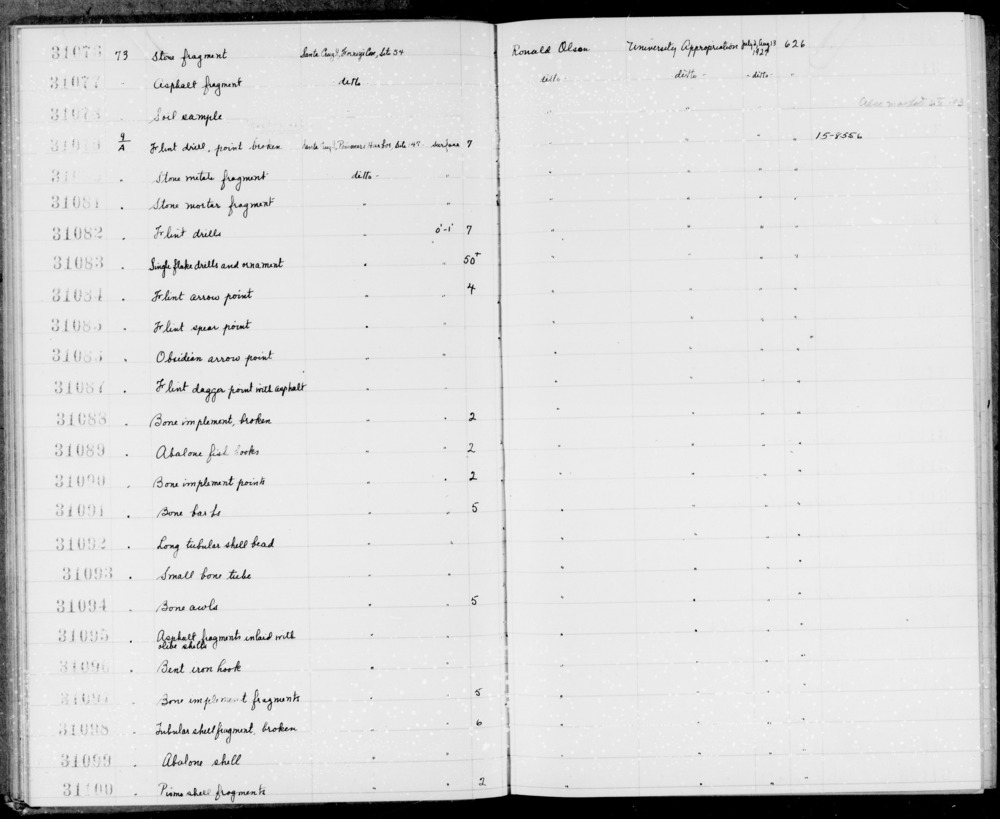 Documentation associated with Hearst Museum object titled Shell fragment, accession number 1-31098, described as Tubular, broken.