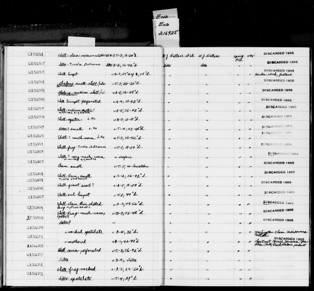 Documentation associated with Hearst Museum object titled Shell fragment, accession number 1-215268, described as Shell fragment, much worn, oyster?