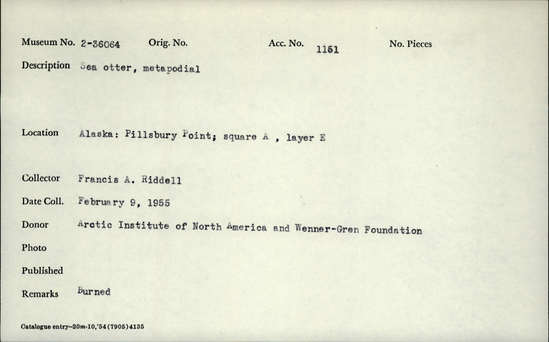 Documentation associated with Hearst Museum object titled Mammal bone, accession number 2-36064, described as Burned sea otter metapodial.