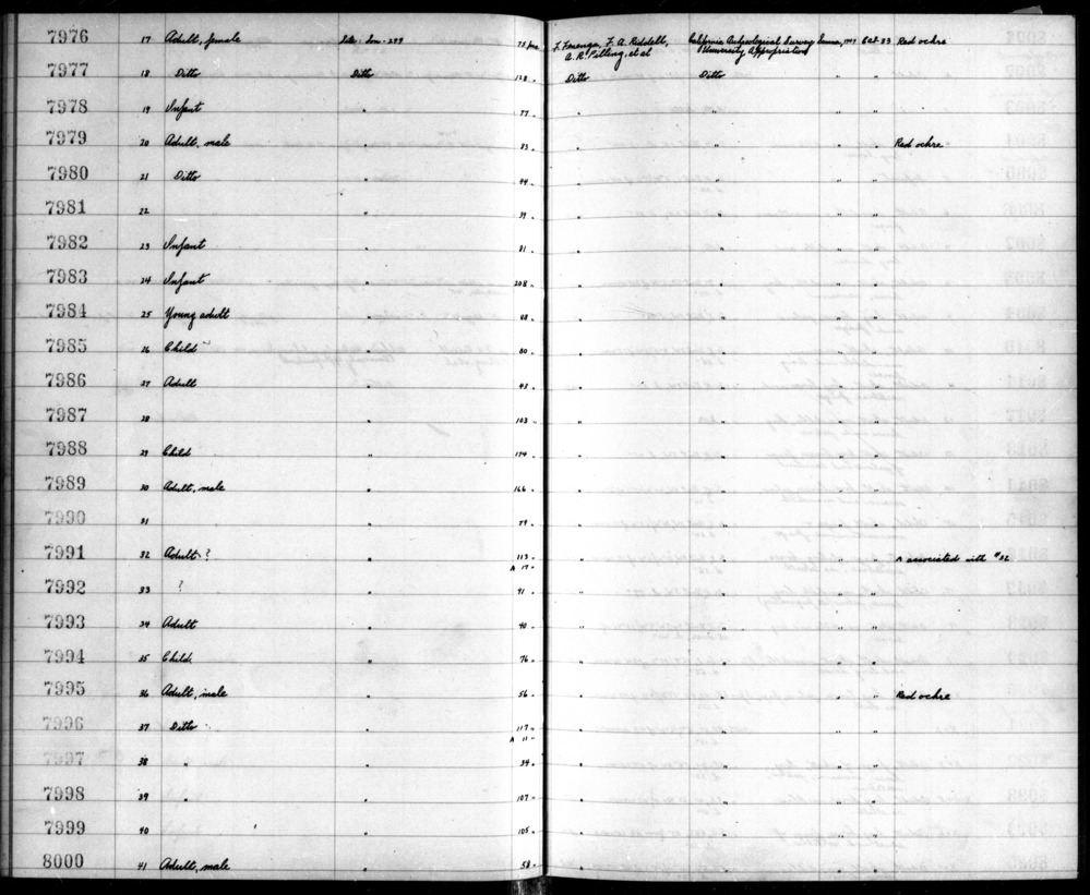 Documentation associated with Hearst Museum object titled Human and faunal remains, accession number 12-7986+A, described as Two individuals. 1st: Incomplete skeleton, age 8, sex unknown. 2nd: Miscellanous bones, adult, sex unknown. One faunal bone.