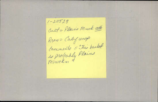 Documentation associated with Hearst Museum object titled Basket, accession number 1-211528, described as Coiled; conical in form with a flat bottom. Decoration: black zigzag band. Basket is damaged at the rim in several places. 3-rod coiling with stitches split on interior face; herringbone border stitch a rim.